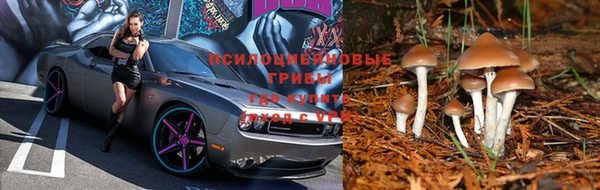 гидропоника Бронницы